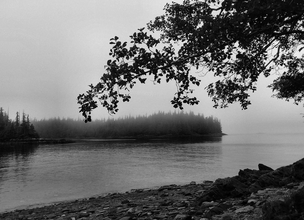 Nature In Class A By Karl Traichel For Alaska Island In Tongass Natl Forest NOV-2018.jpg